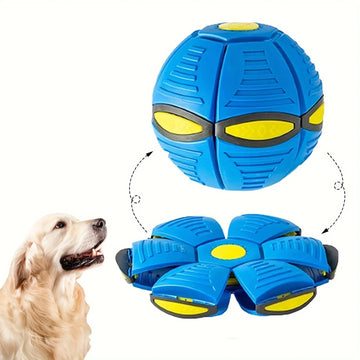 Bouncing Flying Saucer Ball